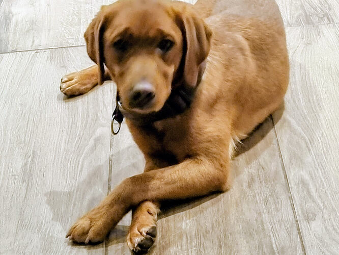 432c7d0a-0dad-446f-a117-ab2b68e9adb9~1(1)