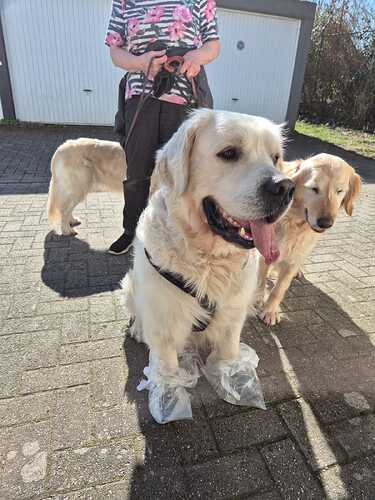 IMG-20260305-WA0029