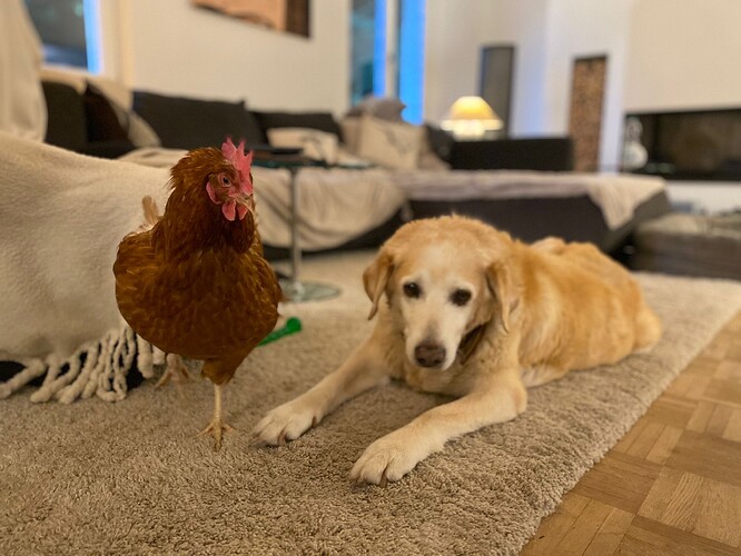 e65fe6e1-bed2-4eac-b565-c9c0a04d2fdb 2