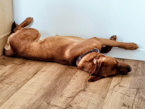 257e5b85-4800-4247-a5d6-37c93d1f7df1~1