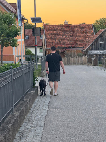 IMG_3008