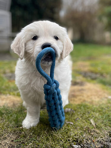 ich bin nicht klein!