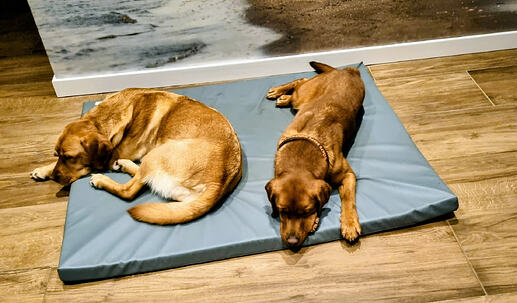 e41b7118-2f4e-4521-883d-f5a1487c186c~1