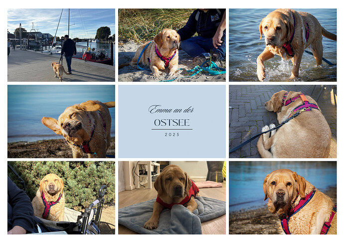 Grau Blau Weiß Elegant Collage Natur Reise Moodboard A4 Dokument