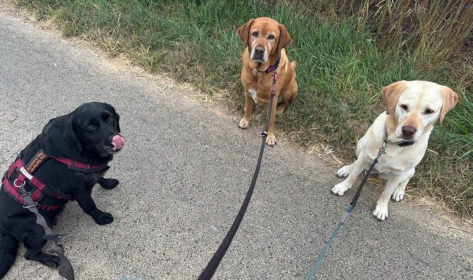 Trio
