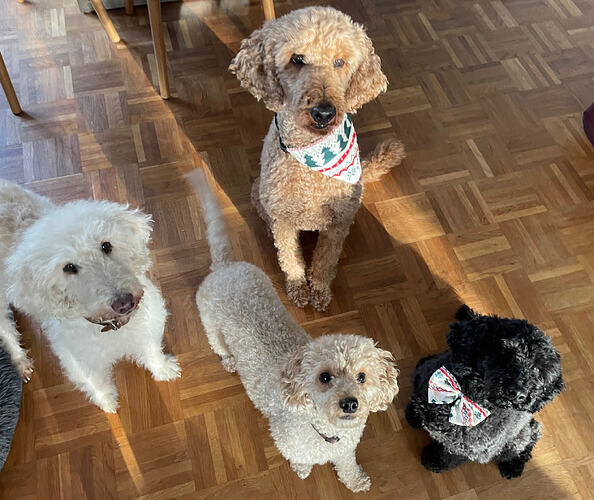 Was hast du da Gutes?