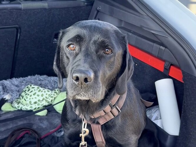 WhatsApp Image 2026-03-02 at 17.51.04