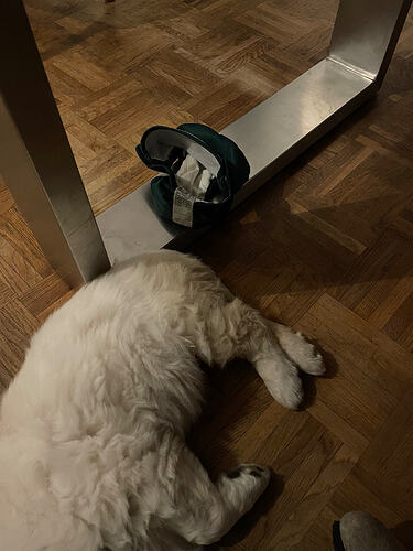 Weg mit den Windeln!