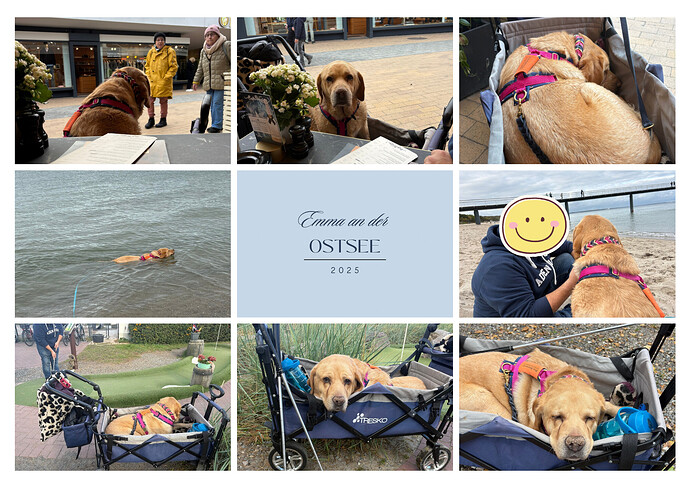 Grau Blau Weiß Elegant Collage Natur Reise Moodboard A4 Dokument