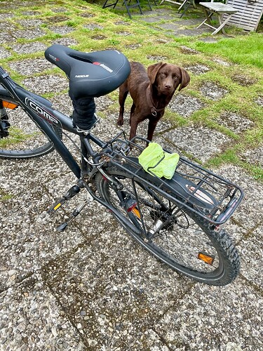 Fahrrad