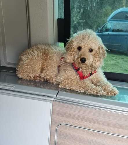 WhatsApp Image 2026-03-15 at 19.12.39