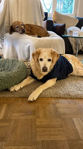 PHOTO-2025-11-17-13-42-20