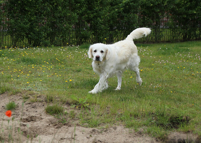 Lesia_0061