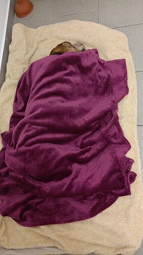 IMG_20260722_191225_627kl