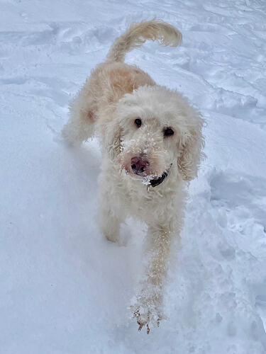 Frisch hier im Norden!