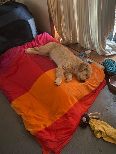 WhatsApp Image 2025-11-18 at 16.15.48-2