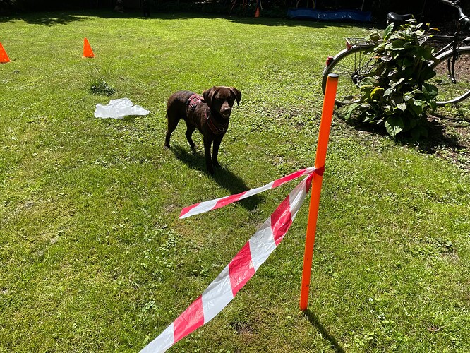 Umweltreize im Garten üben ...