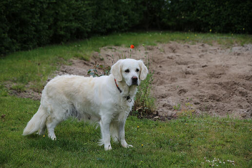 Lesia_0040