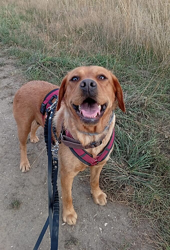 Bonnie 1