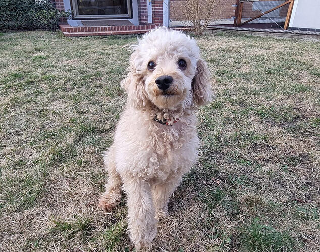 WhatsApp Image 2026-03-10 at 19.30.46