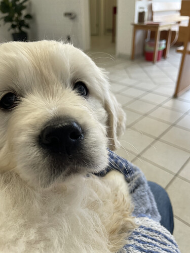 Wartezimmer-Romantik