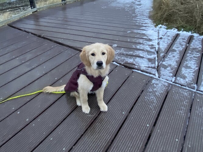 Piri-Bis-zum-Horizont