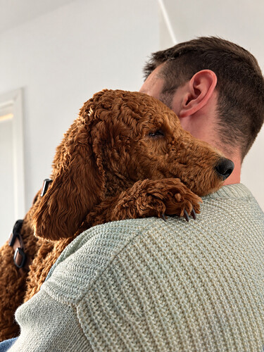 Kuscheln mit Pflegepapa, was besseres gibt’s nicht.