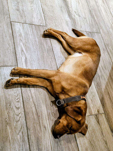 66b7afec-587b-4250-8667-afffb64dba69~1(1)