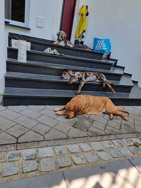 IMG-20250614-WA0020