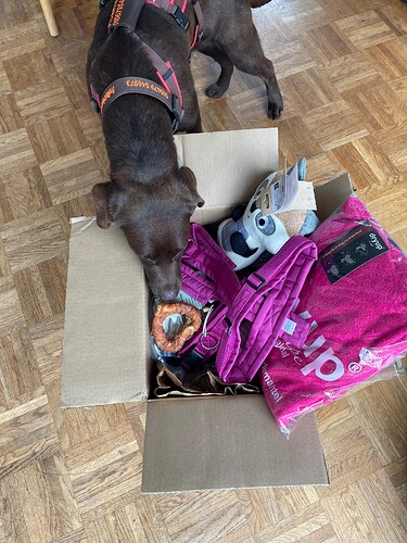 Ein Pepper-Paket
