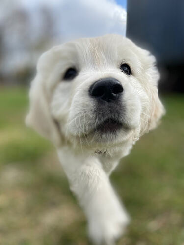 Was machen wir heute?