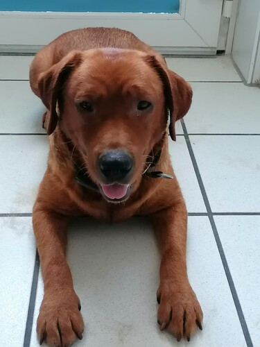 WhatsApp Image 2026-06-29 at 15.56.11
