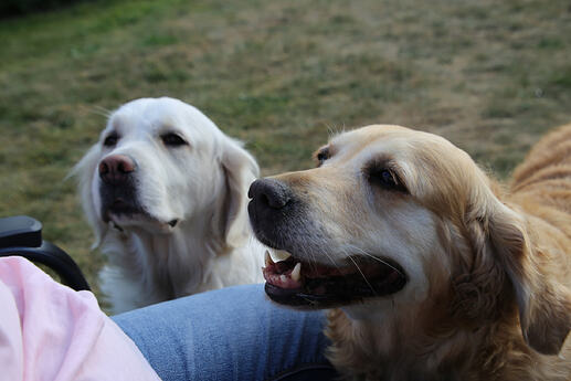 Trixie_0014