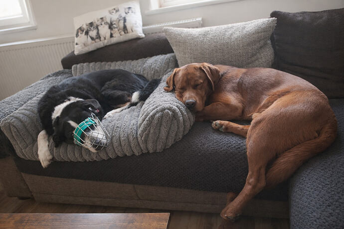 file_00000000f8e471f49bde1f4cd8ce39d1