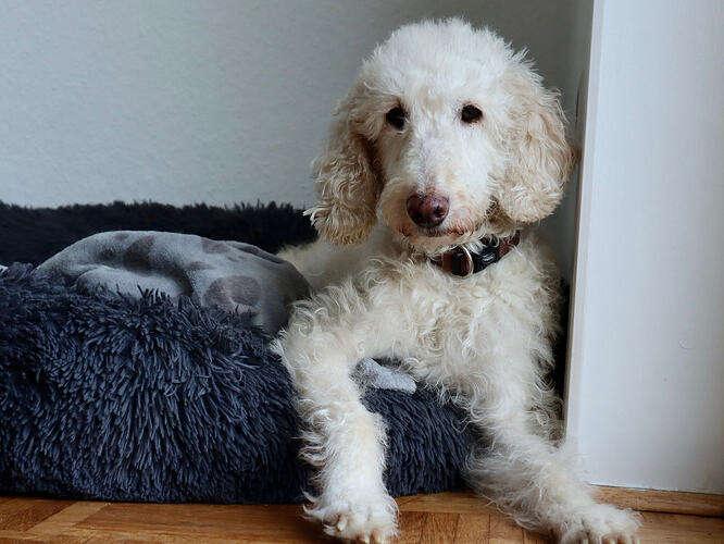 So richtig nett, ist's nur im Bett.