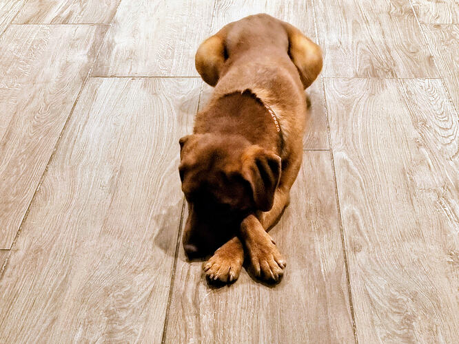 06b88f75-33ea-4b26-af82-ceaa6c7c14a6~1(1)