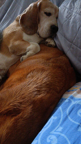 IMG_20260809_152232_280