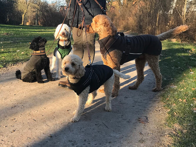 Auch als Quartett ist es nett