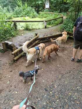 IMG-20250722-WA0003